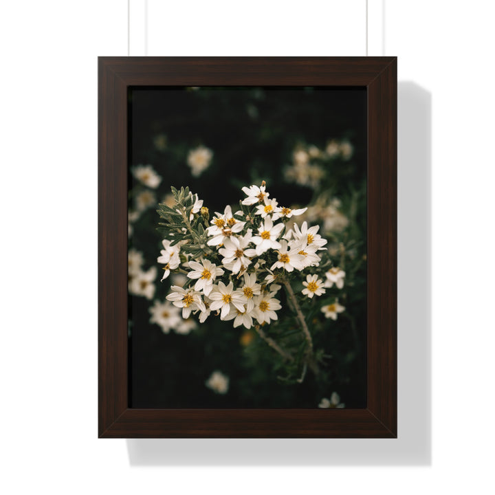 A Touch of White - Framed Print