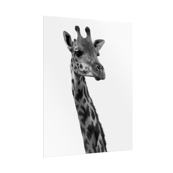 Giraffe Portrait in Black and White | Rolled Unframed Print | Elemental Escape Collection