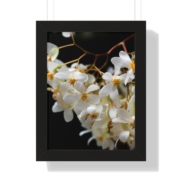 Floral Network - Framed Print