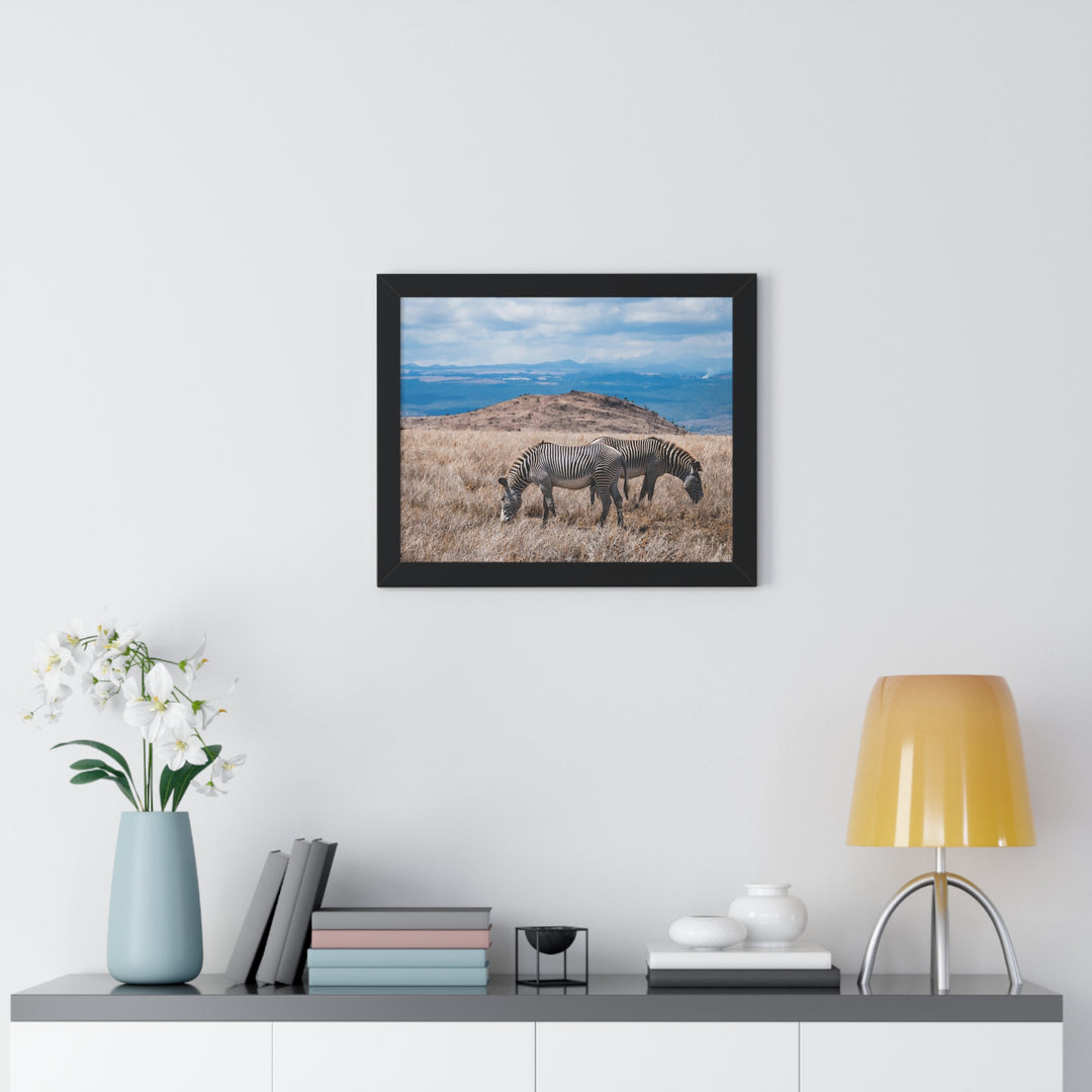 Zebra-Striped Expanse - Framed Print