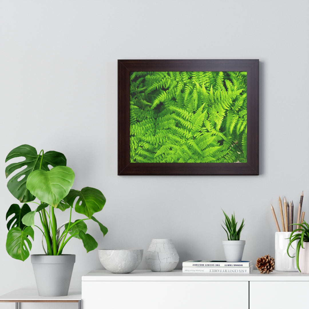 Ferns, Ferns, Ferns - Framed Print