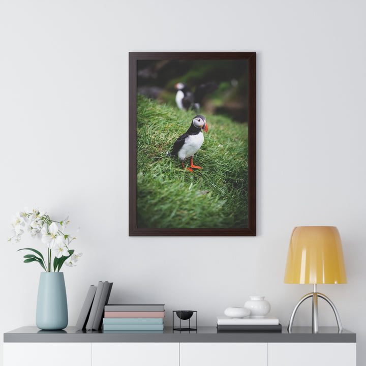 Curious Look - Framed Print