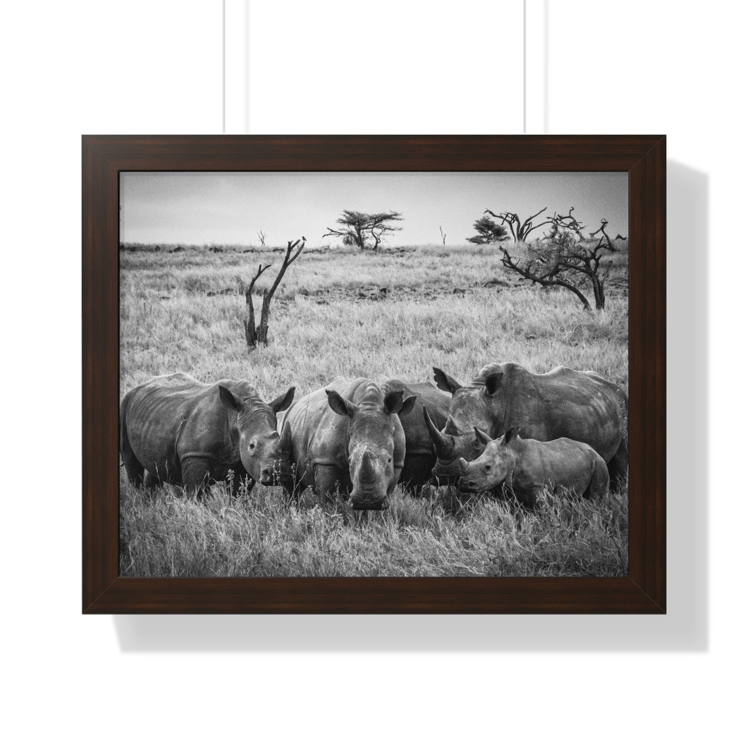 Rhino Family in Black and White - Framed Print