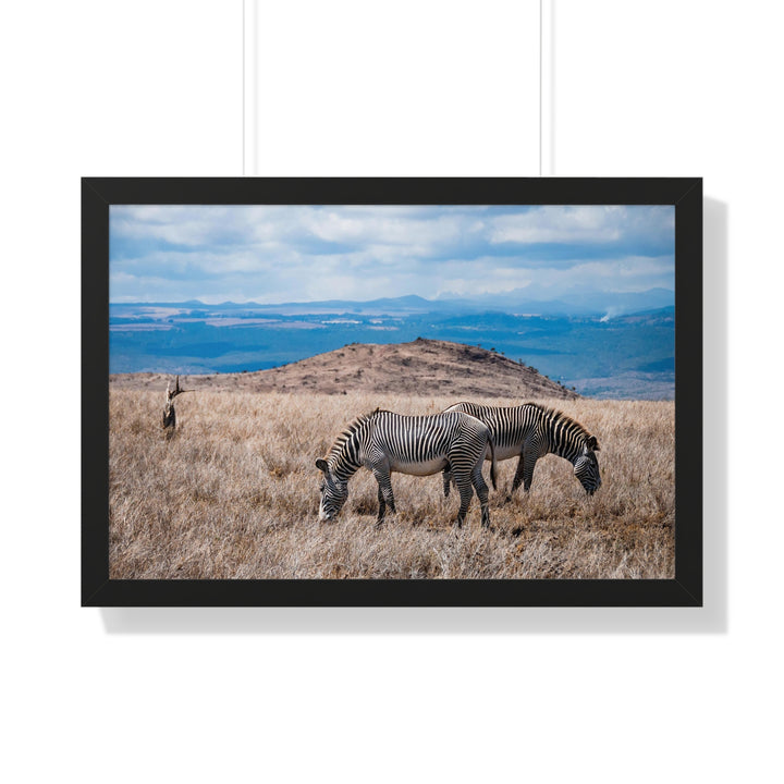 Zebra-Striped Expanse - Framed Print