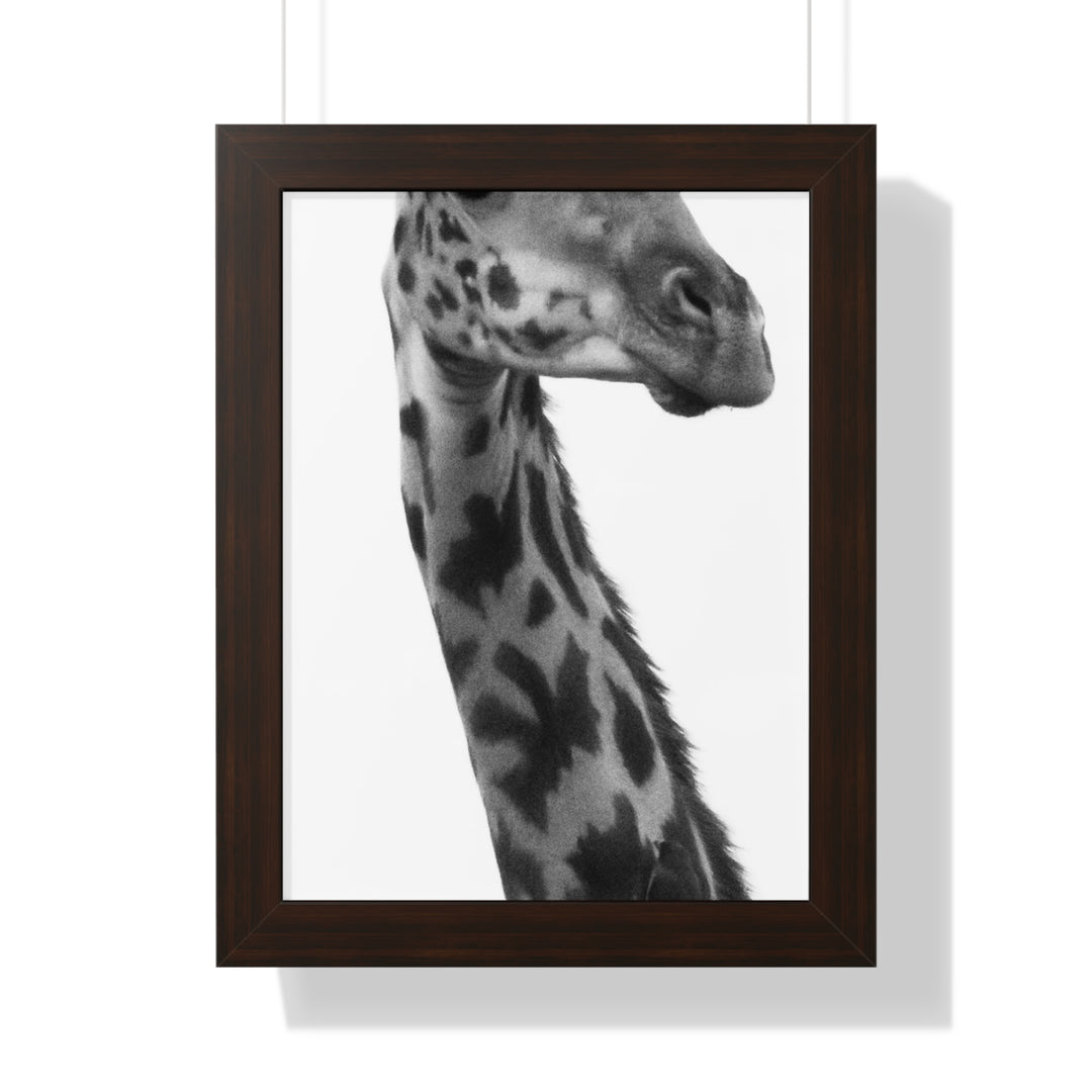 Giraffe Portrait in Black and White - Framed Print