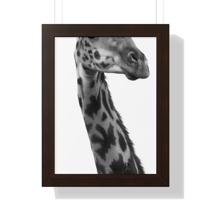Giraffe Portrait in Black and White - Framed Print