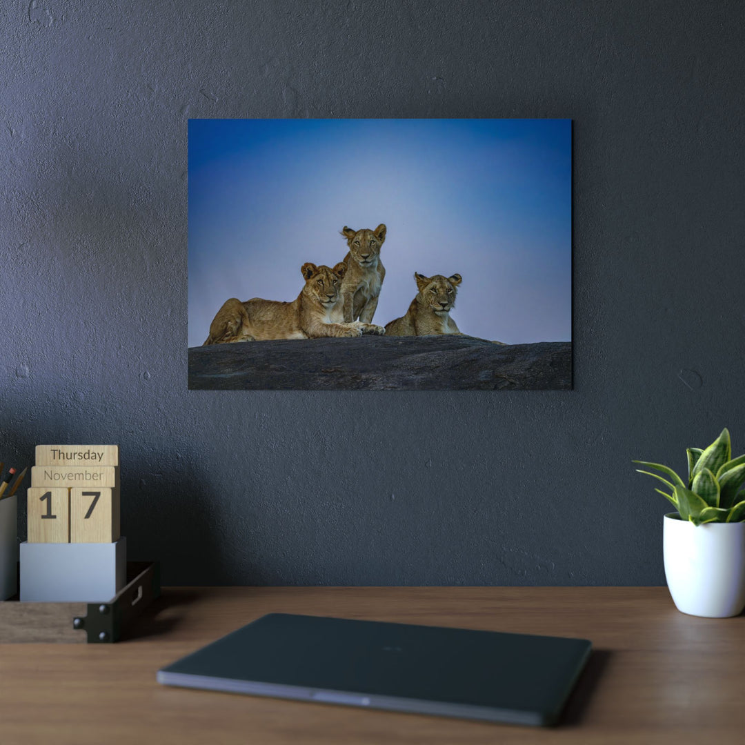 When the Light Fades Blue | Aluminum Wall Art | Elemental Escape Collection