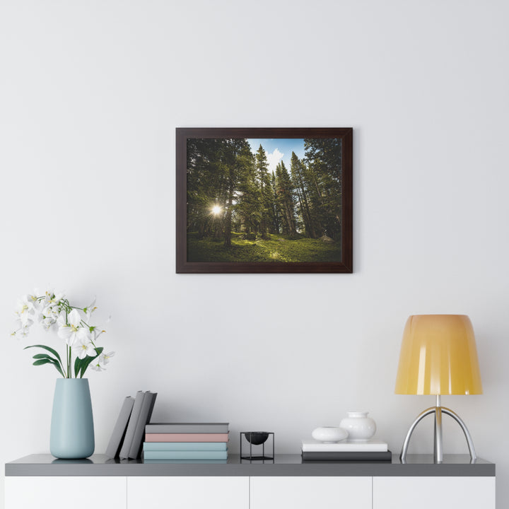 Forest Light - Framed Print