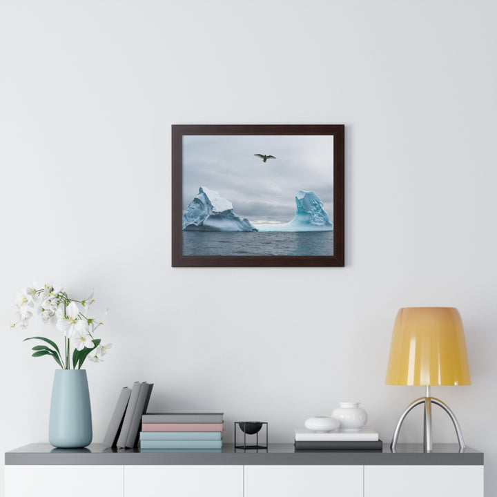 Antarctic Flight - Framed Print