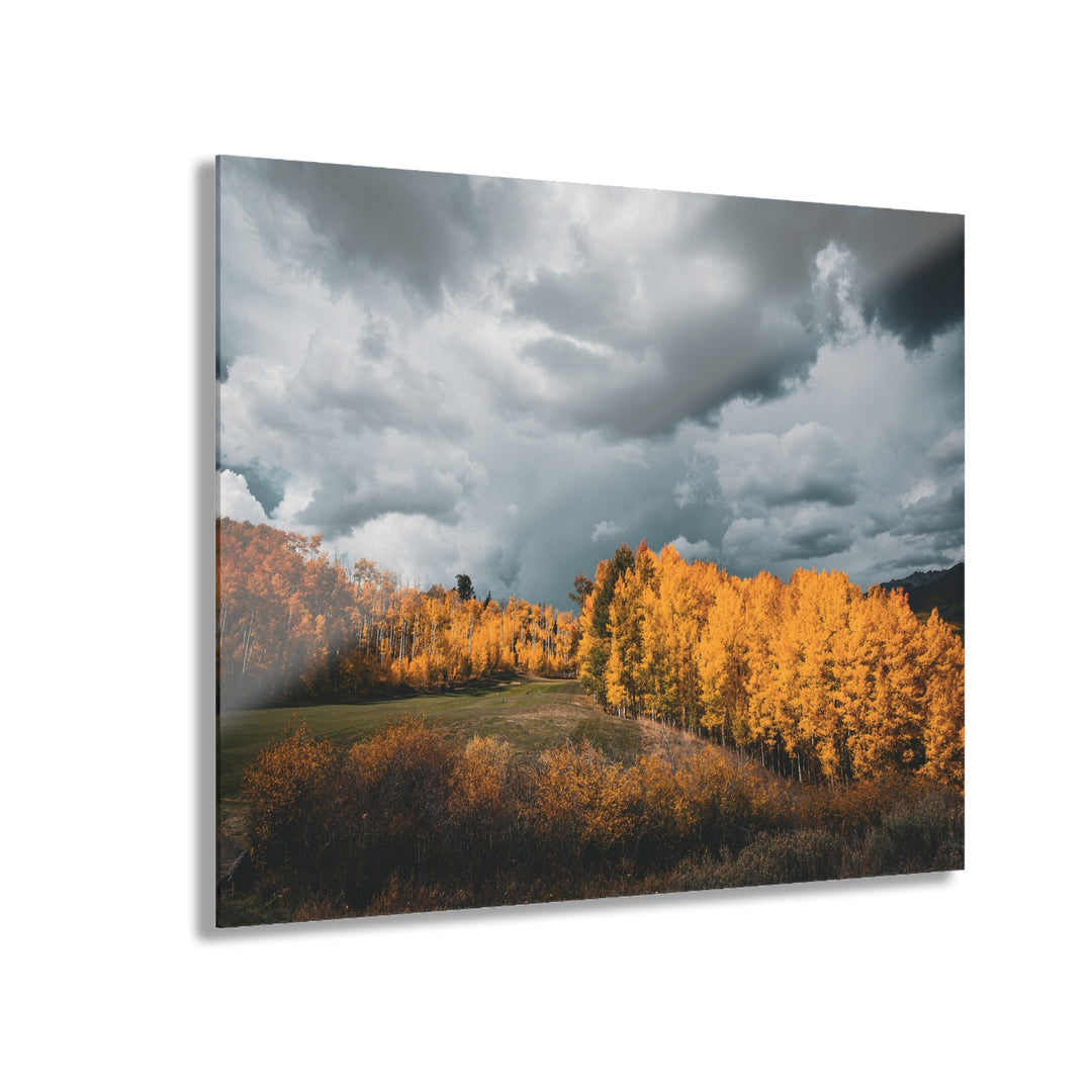 Courage | Acrylic Wall Art Print | Elemental Escape Collection