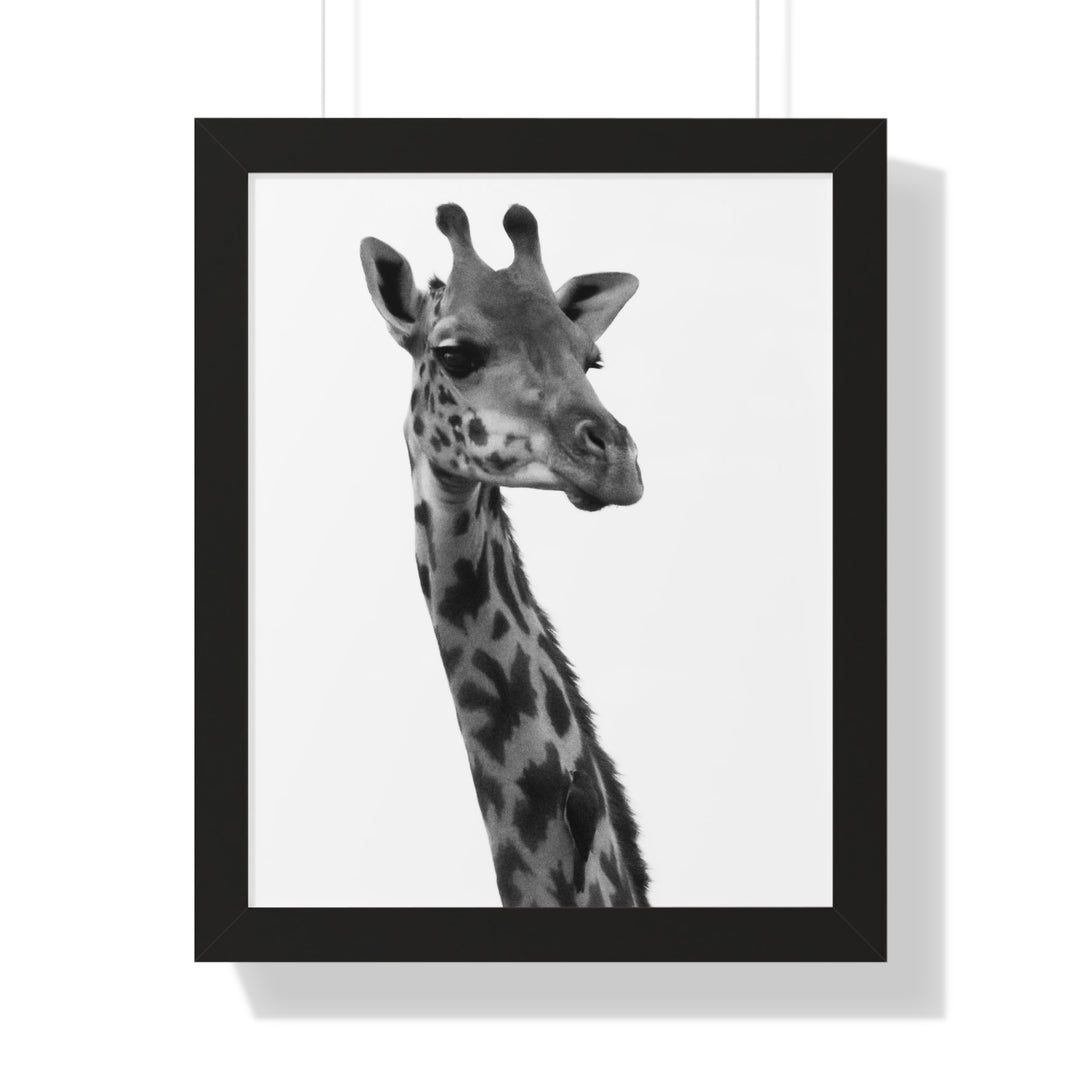 Giraffe Portrait in Black and White - Framed Print