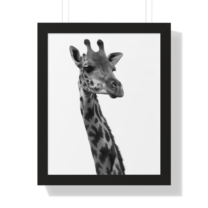 Giraffe Portrait in Black and White - Framed Print