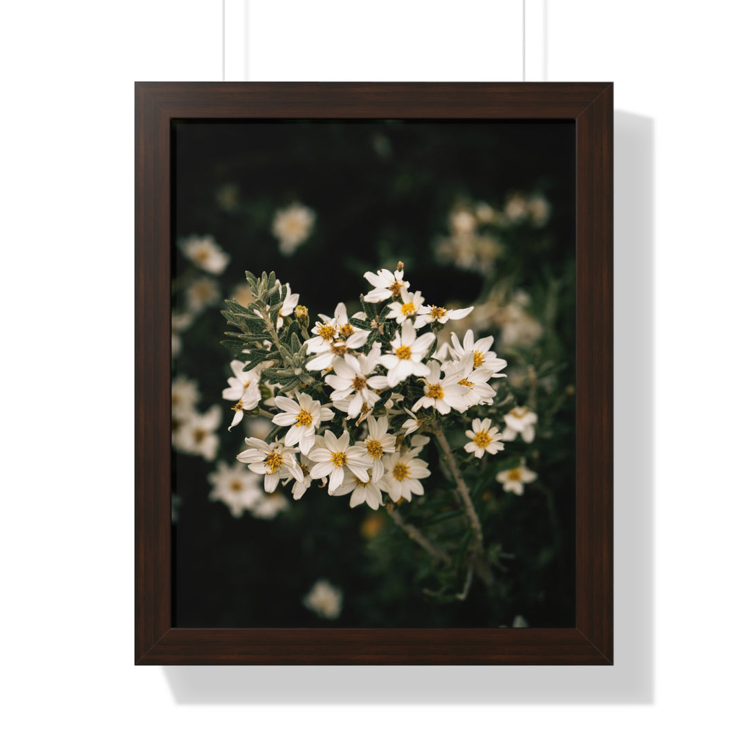 A Touch of White - Framed Print