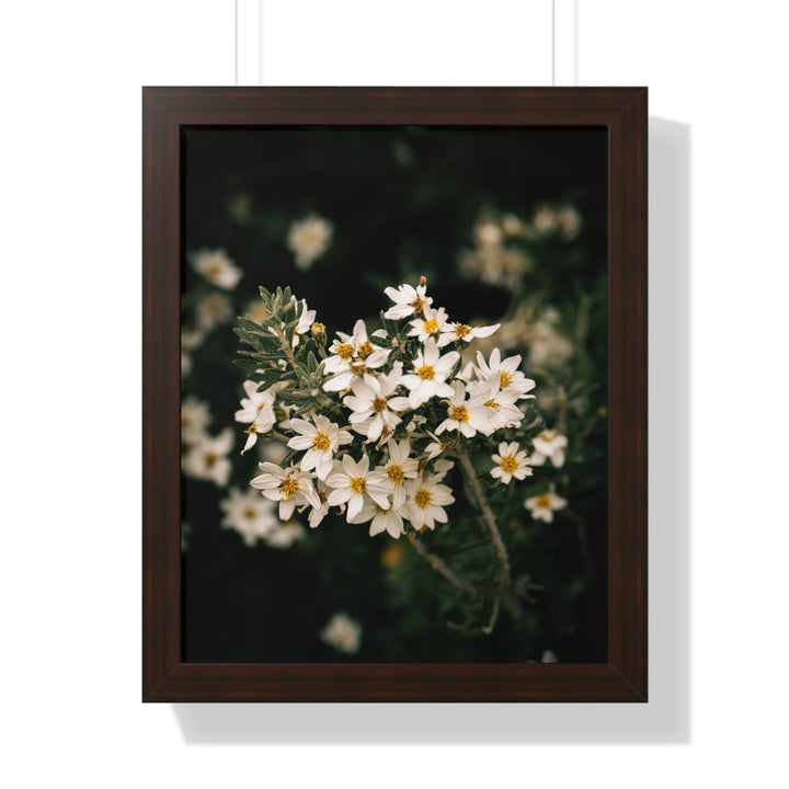 A Touch of White - Framed Print