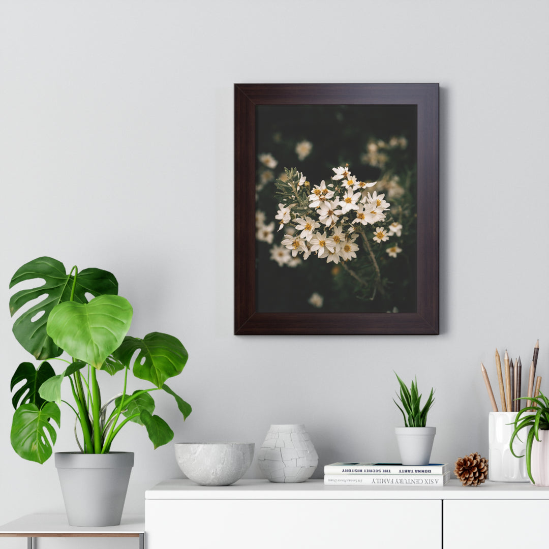 A Touch of White - Framed Print