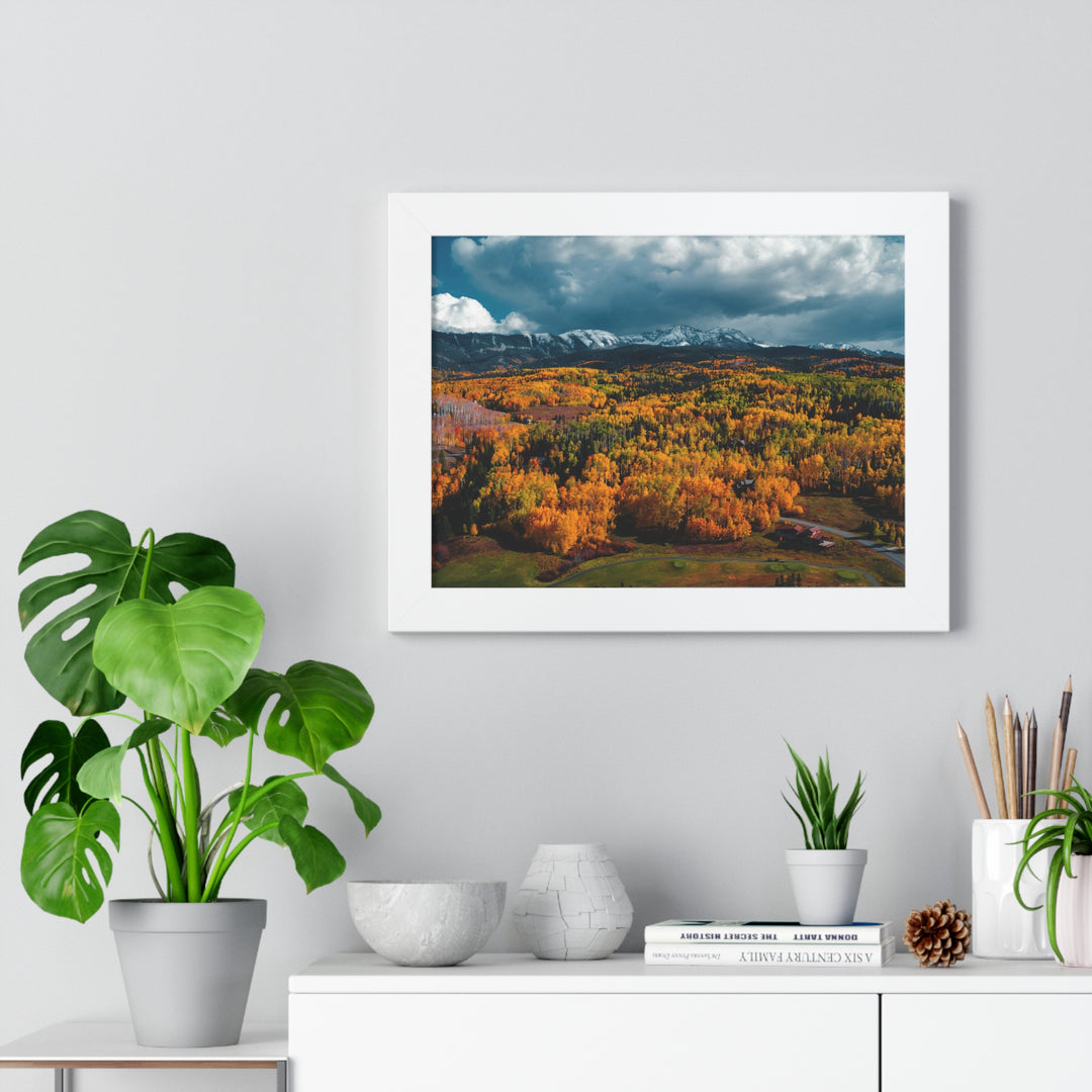 Golds of Autumn - Framed Print