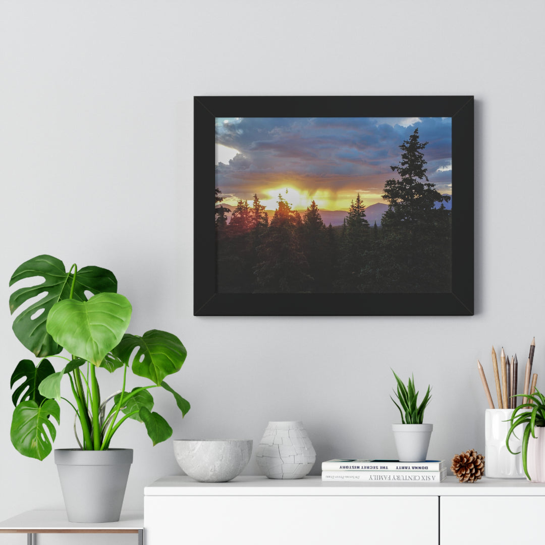 Rainy Sunset Through the Trees - Framed Print