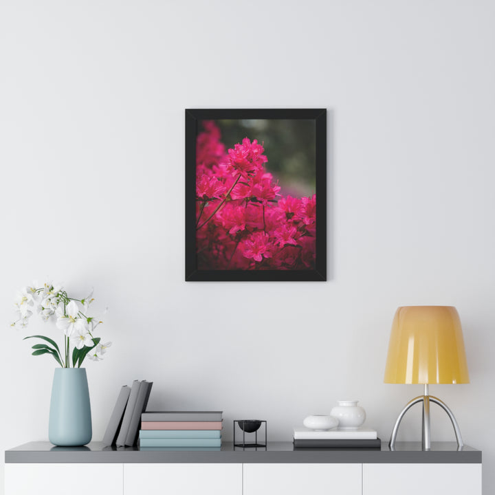 Full Bloom - Framed Print