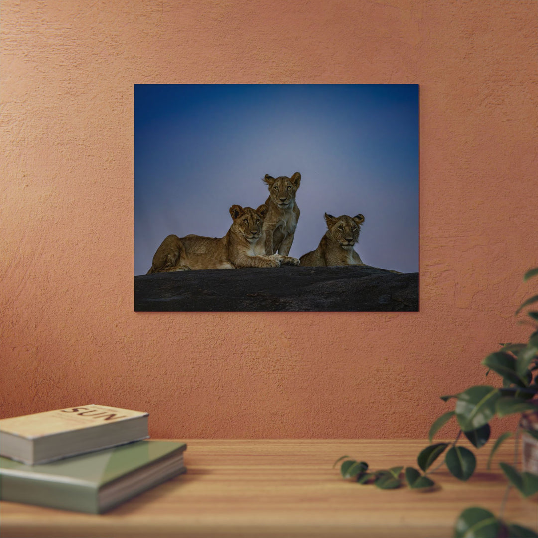 When the Light Fades Blue | Aluminum Wall Art | Elemental Escape Collection