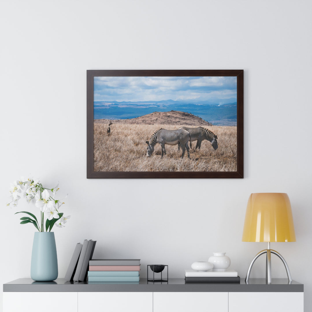 Zebra-Striped Expanse - Framed Print