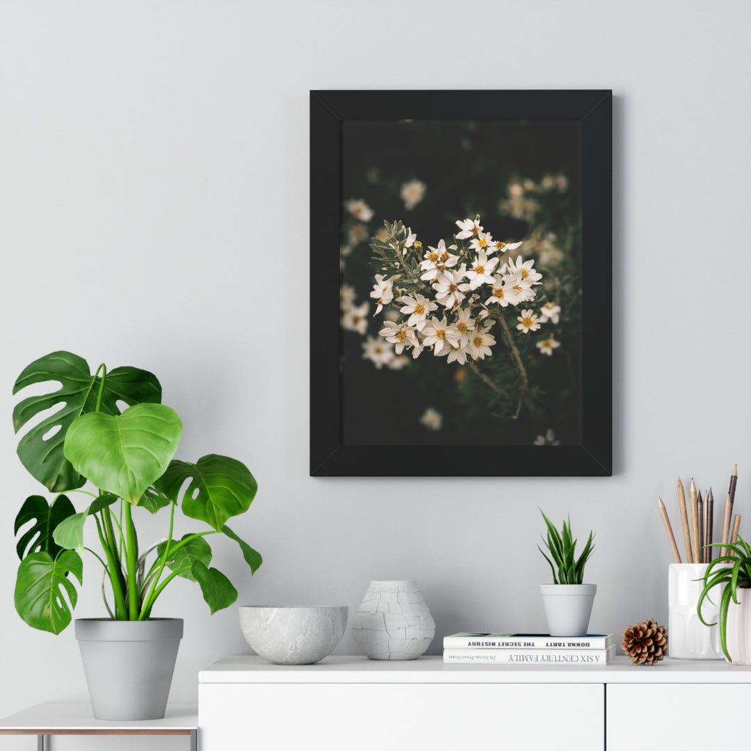 A Touch of White - Framed Print