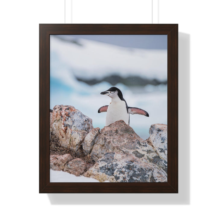 Stretched Penguin - Framed Print