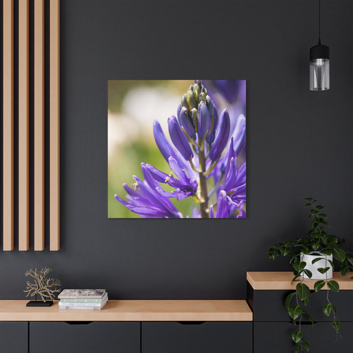 Camas in Bloom - Stretched Canvas Print, Floral Wall Art, Purple Flower Canvas, Home Decor, Nature Art for Living Room, Gift for Her, Botanical Print