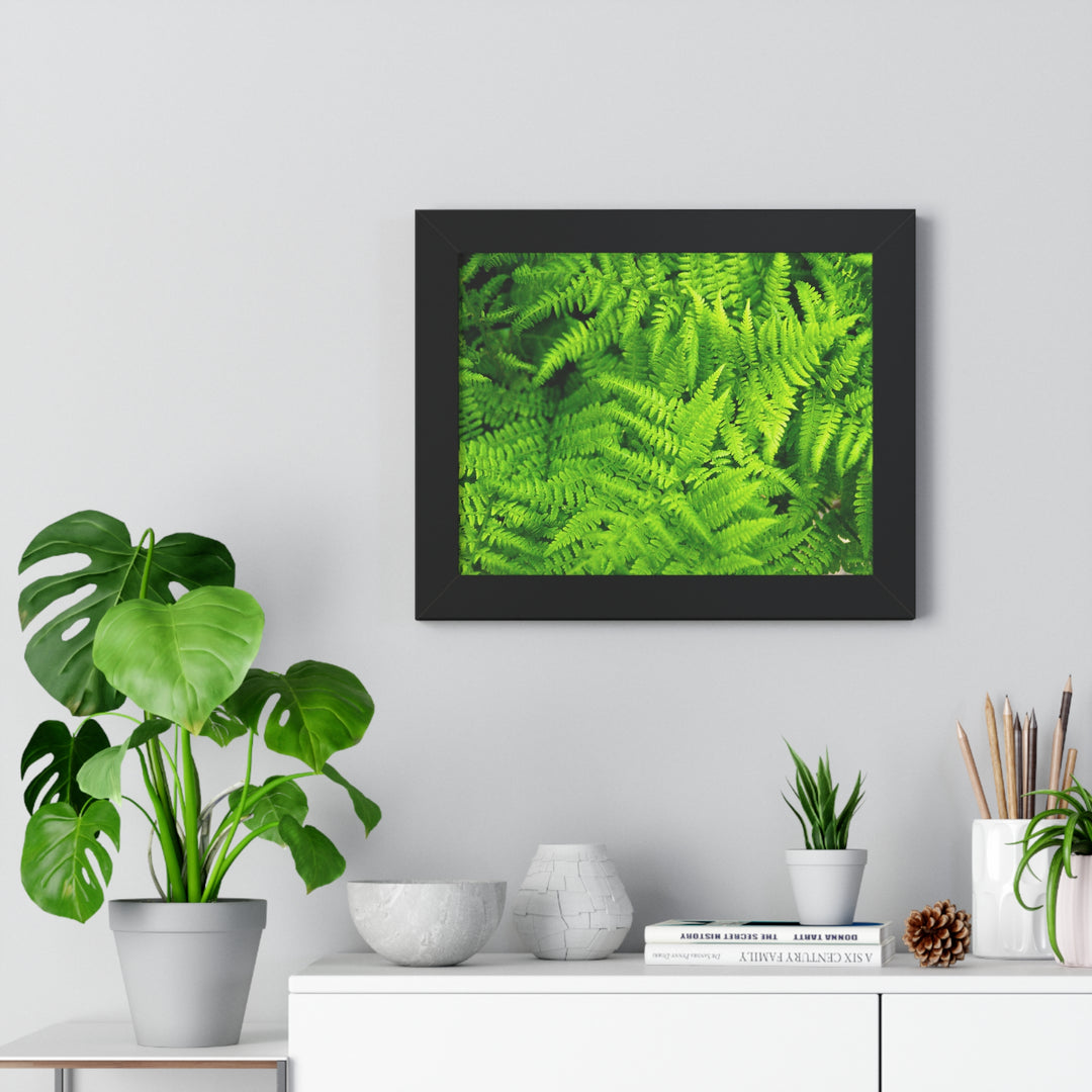 Ferns, Ferns, Ferns - Framed Print