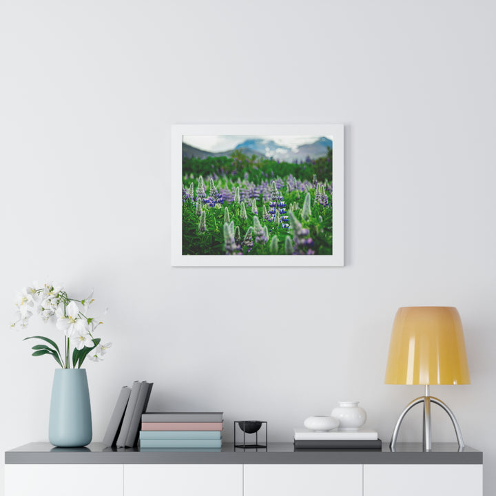 Glowing Lupin with Mountains - Framed Print