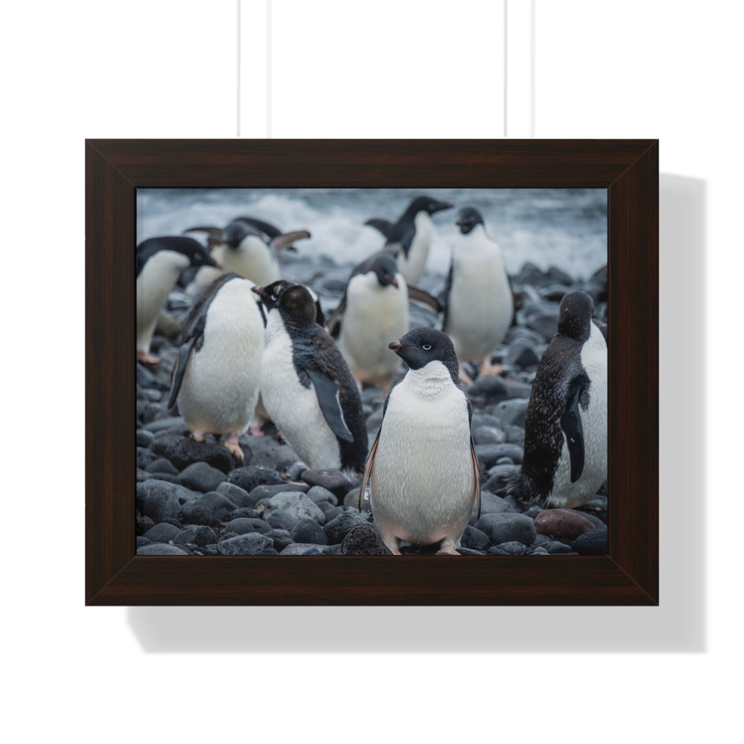Drying Out - Framed Print