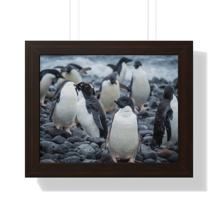 Drying Out - Framed Print