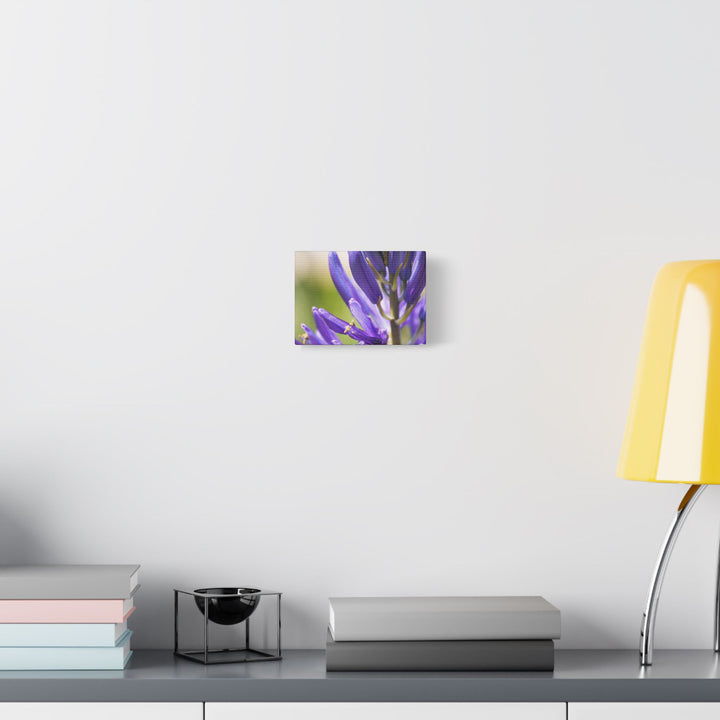 Camas in Bloom - Stretched Canvas Print, Floral Wall Art, Purple Flower Canvas, Home Decor, Nature Art for Living Room, Gift for Her, Botanical Print