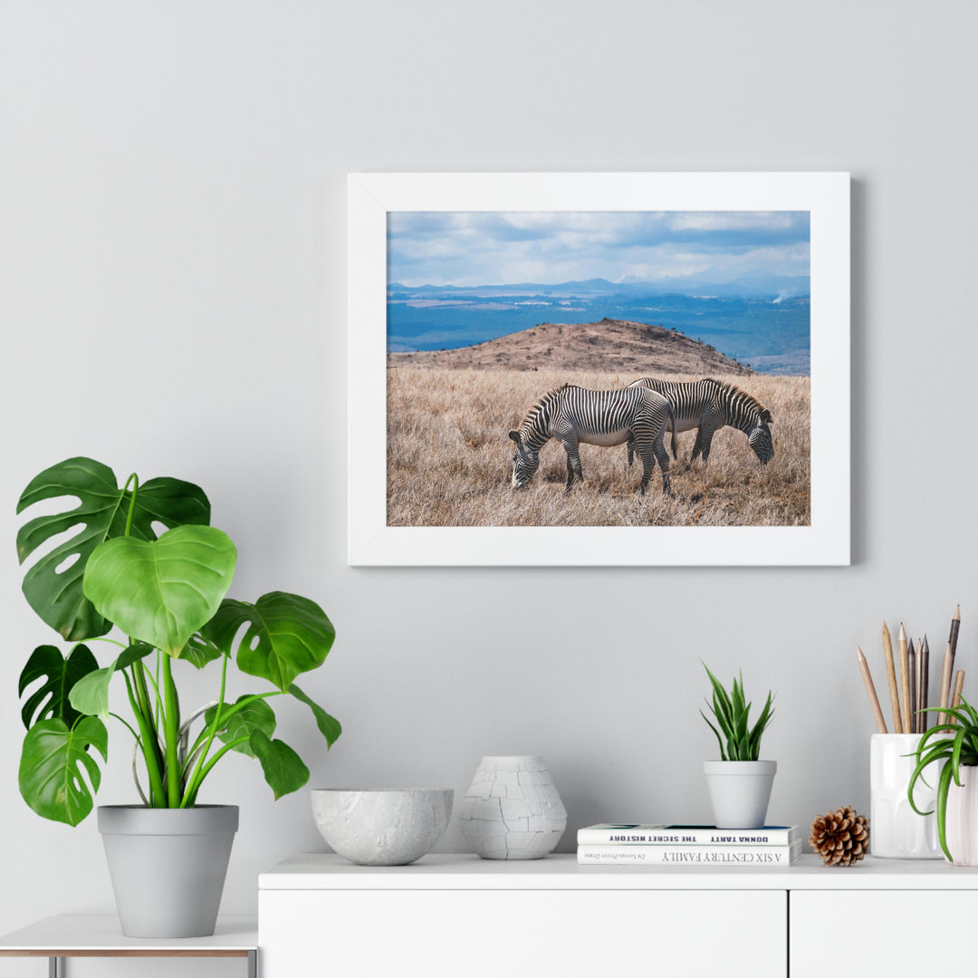 Zebra-Striped Expanse - Framed Print