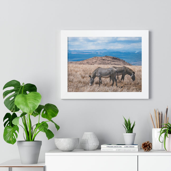 Zebra-Striped Expanse - Framed Print