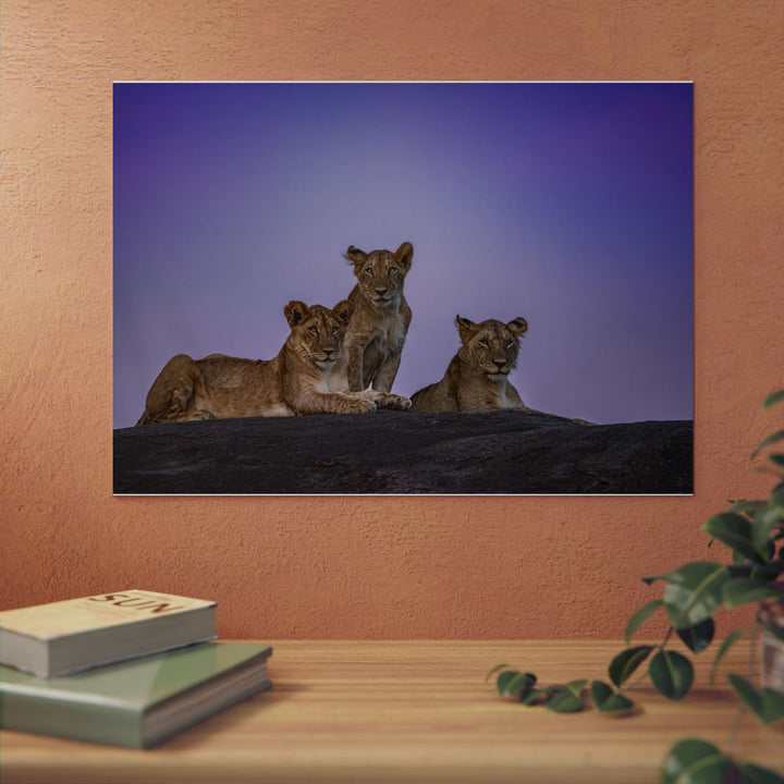 When the Light Fades Purple | Aluminum Wall Art | Elemental Escape Collection