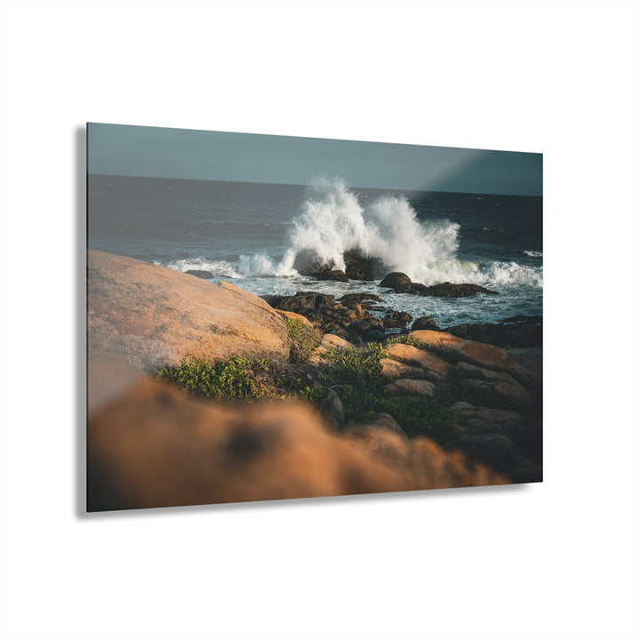 Resilience | Acrylic Wall Art Print | Elemental Escape Collection