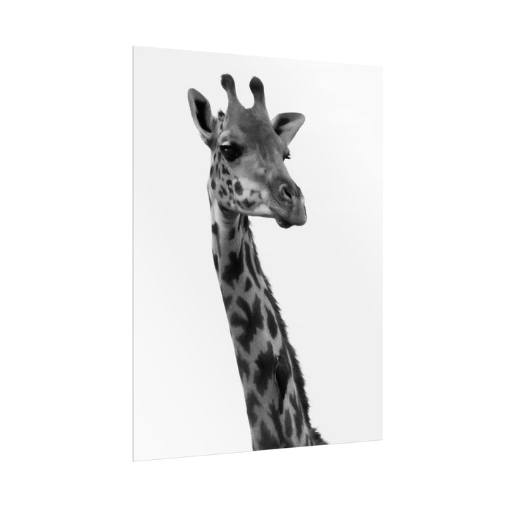 Giraffe Portrait in Black and White | Rolled Unframed Print | Elemental Escape Collection