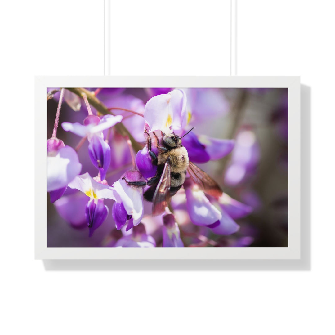 Hungry Visitor - Framed Print