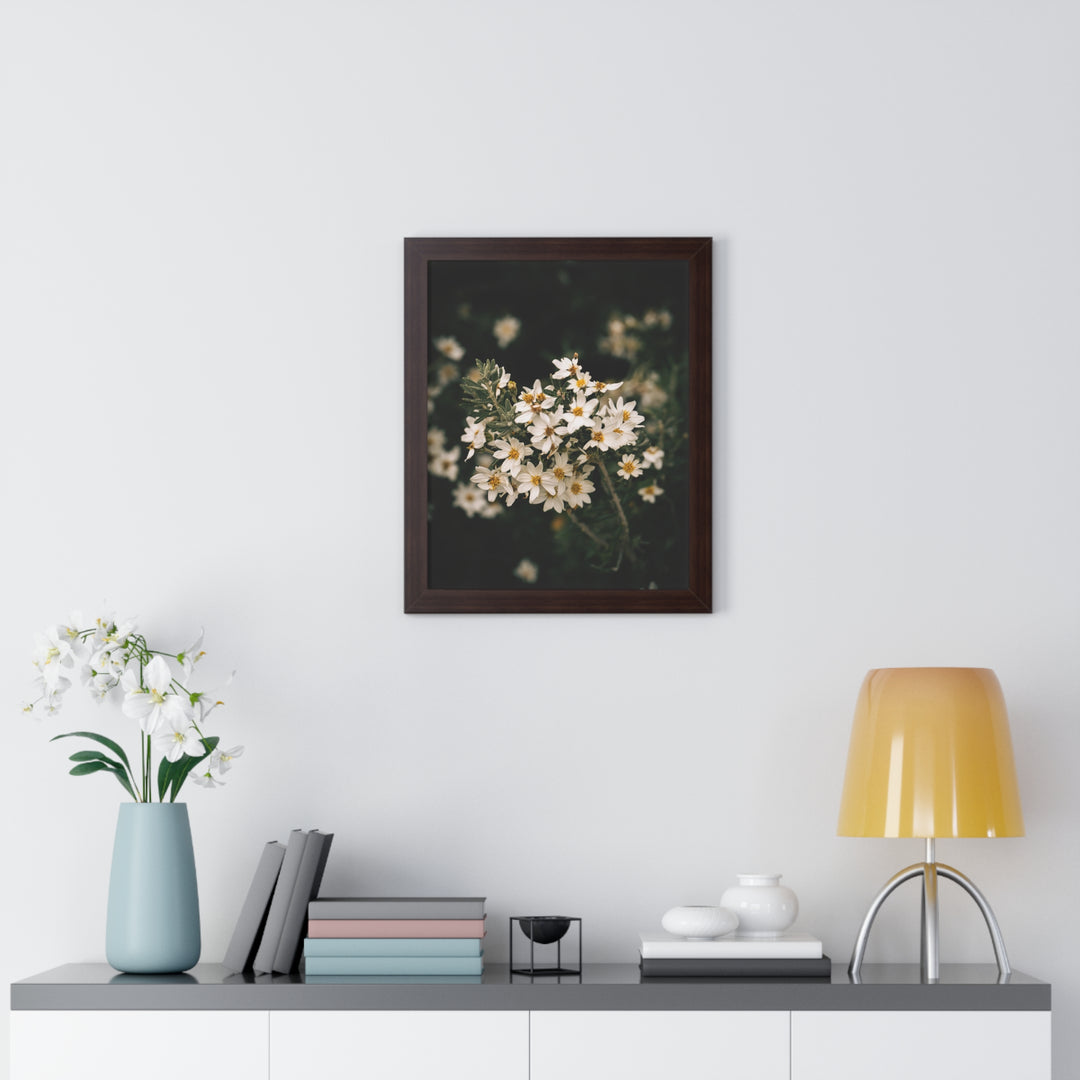 A Touch of White - Framed Print