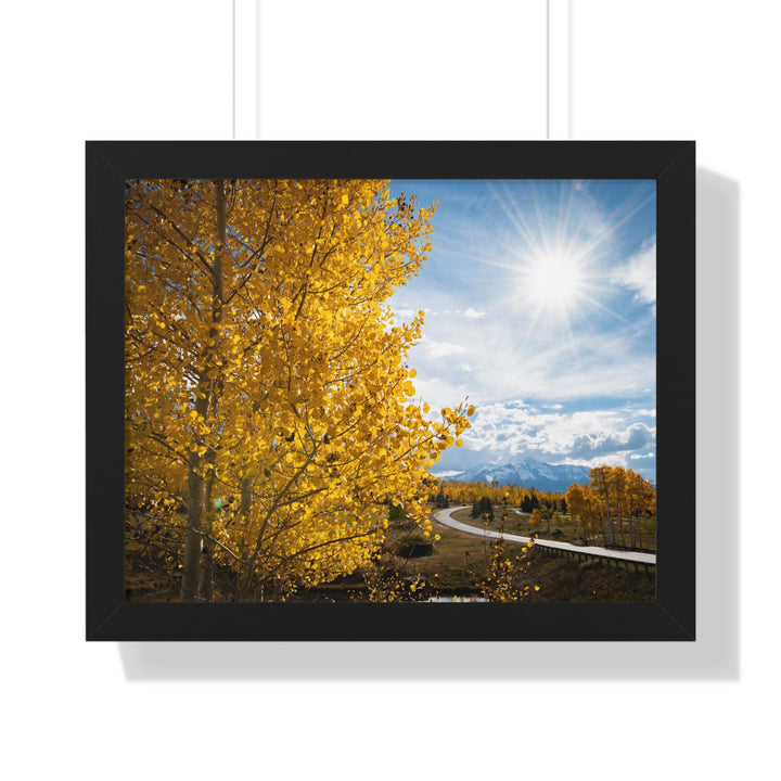Golden Sunshine - Framed Print