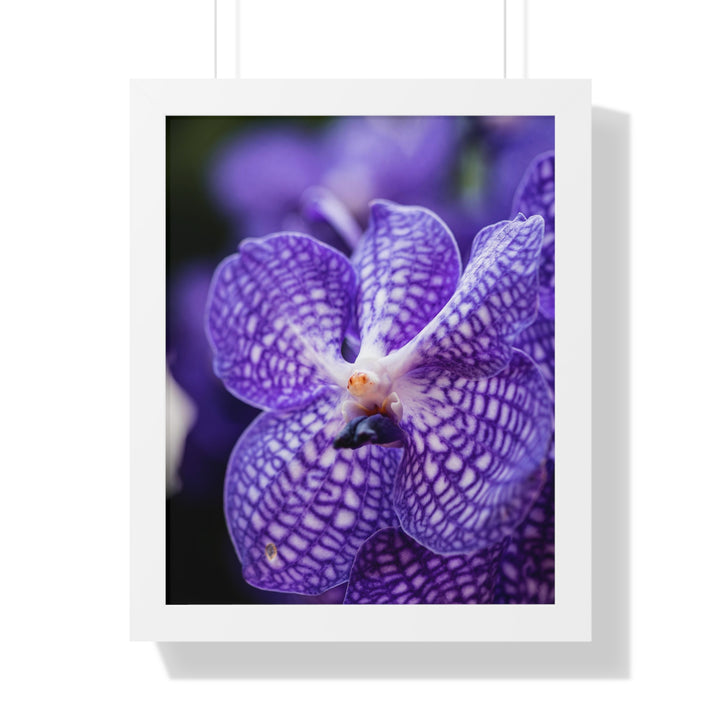 Orchid Detail - Framed Print