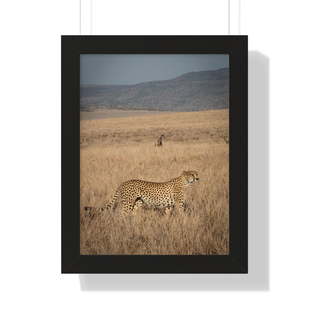 Regal Camouflage  - Framed Print