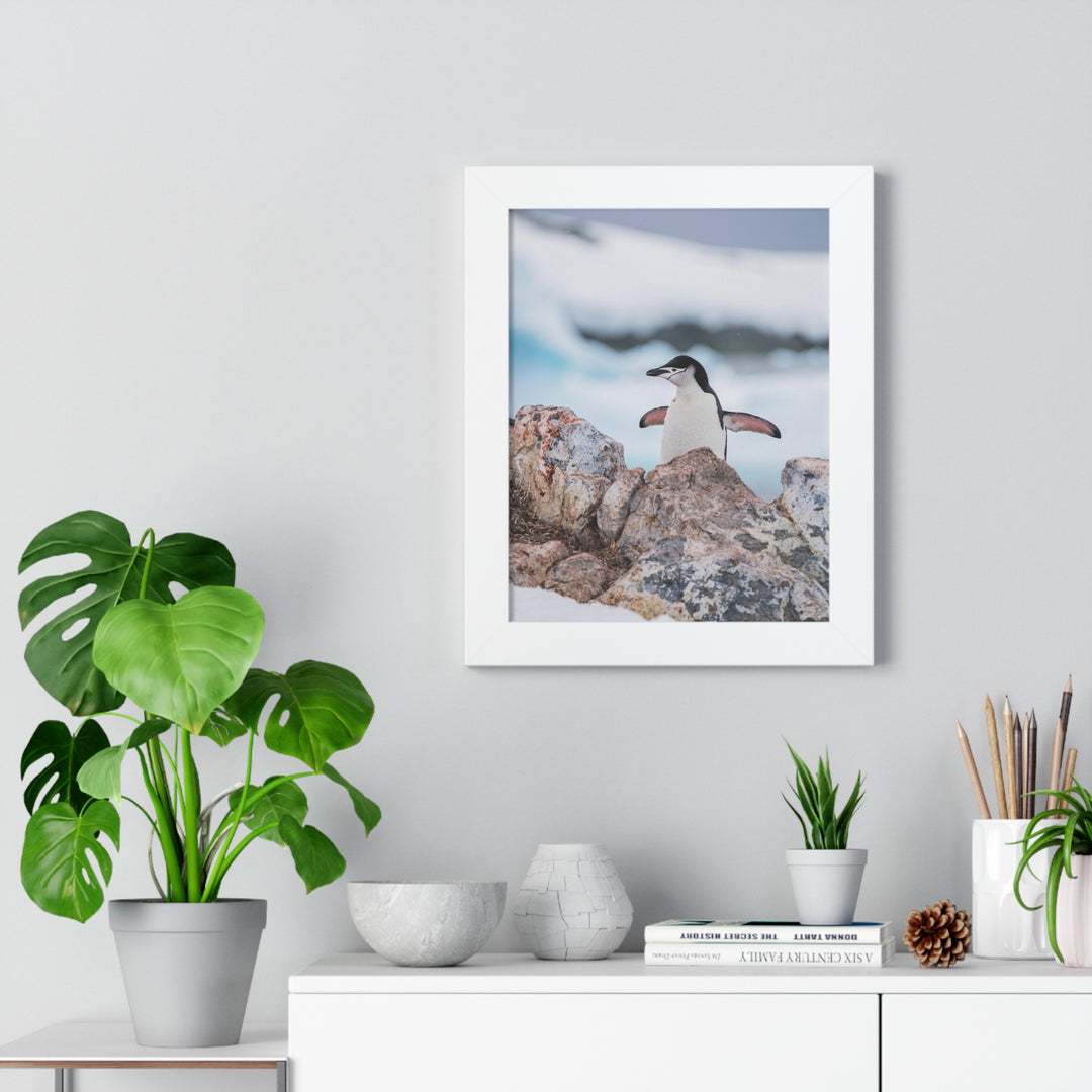 Stretched Penguin - Framed Print