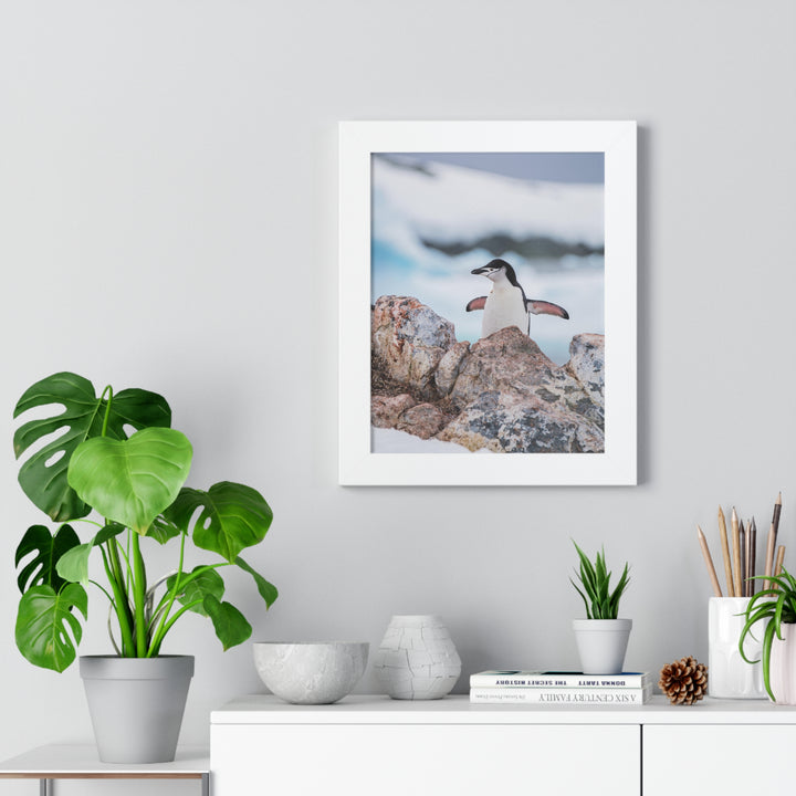 Stretched Penguin - Framed Print