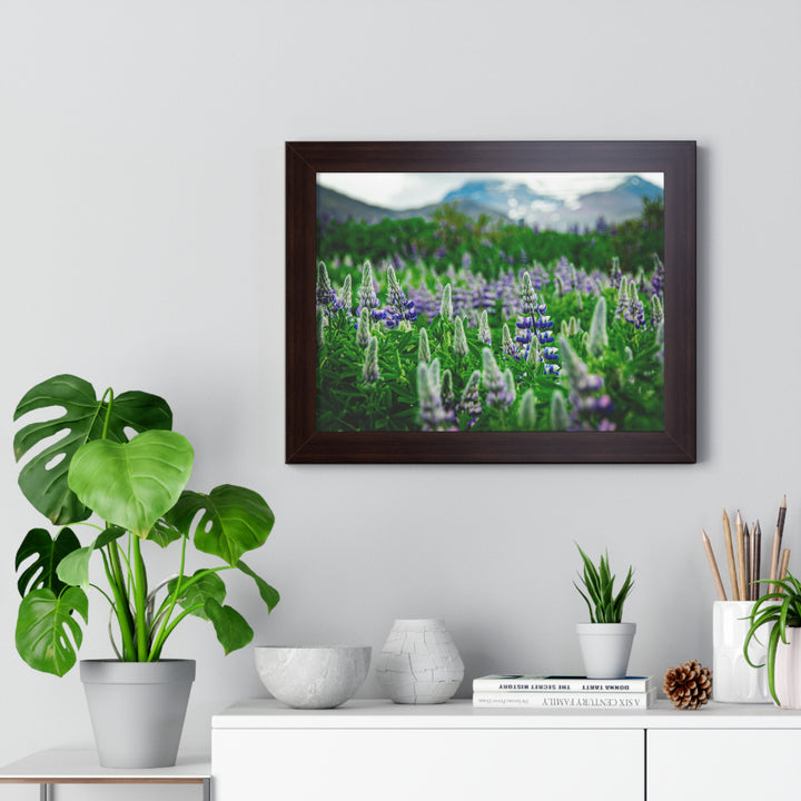Glowing Lupin with Mountains - Framed Print