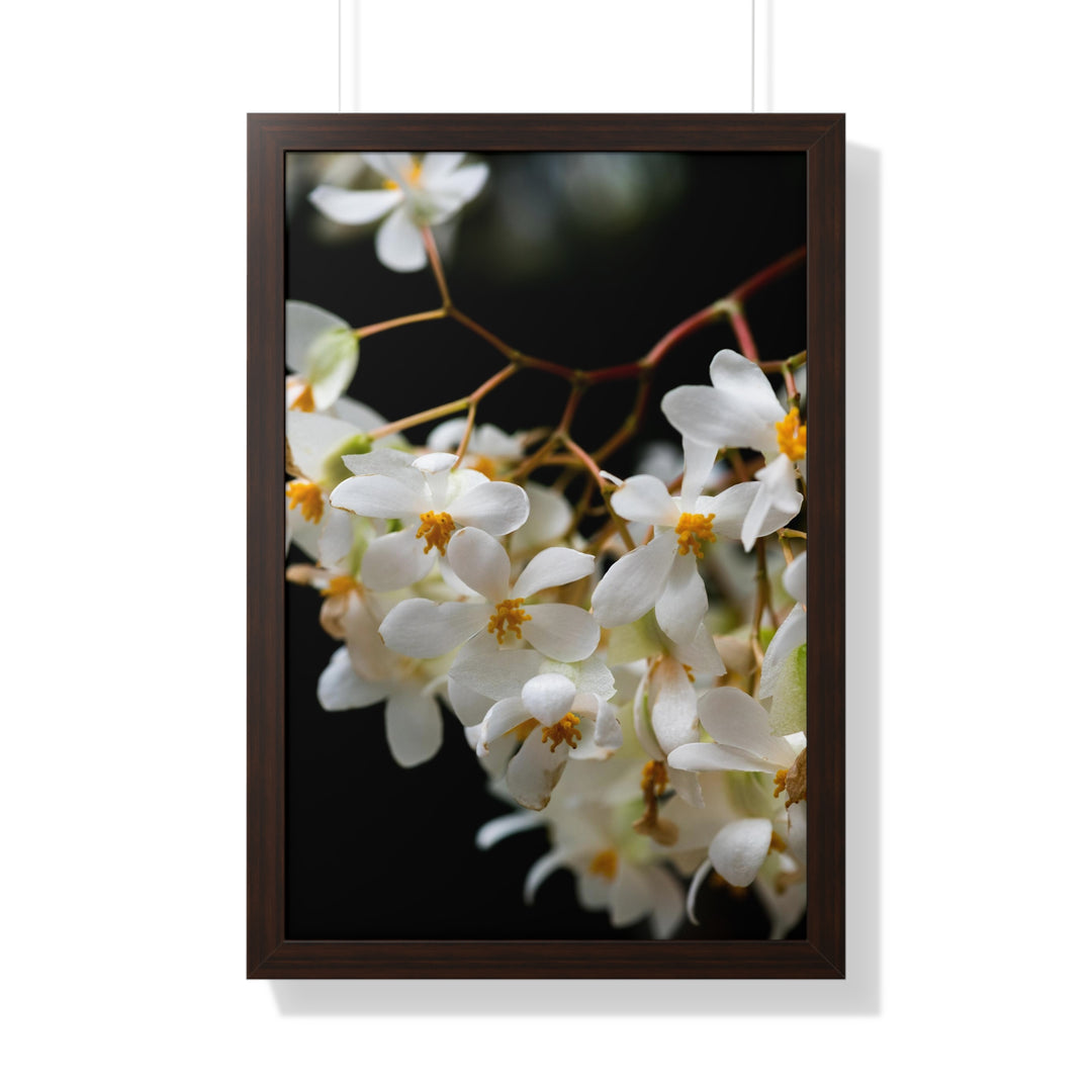 Floral Network - Framed Print