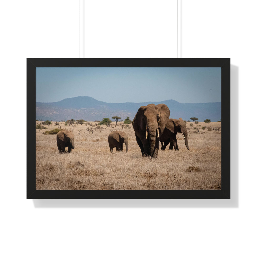 Family March - Framed Print