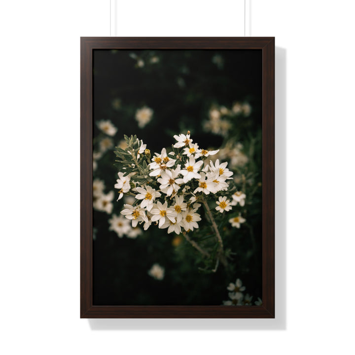 A Touch of White - Framed Print