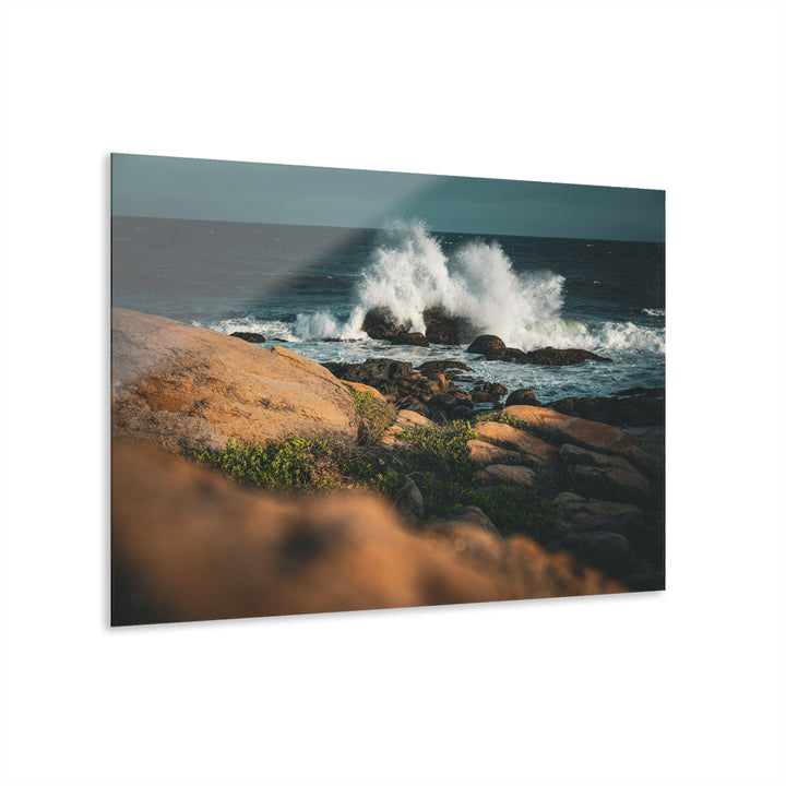 Resilience | Acrylic Wall Art Print | Elemental Escape Collection
