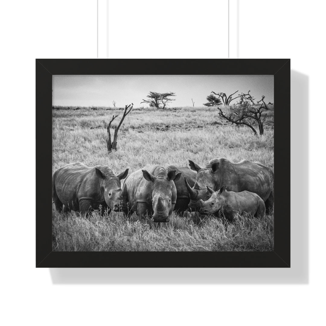 Rhino Family in Black and White - Framed Print